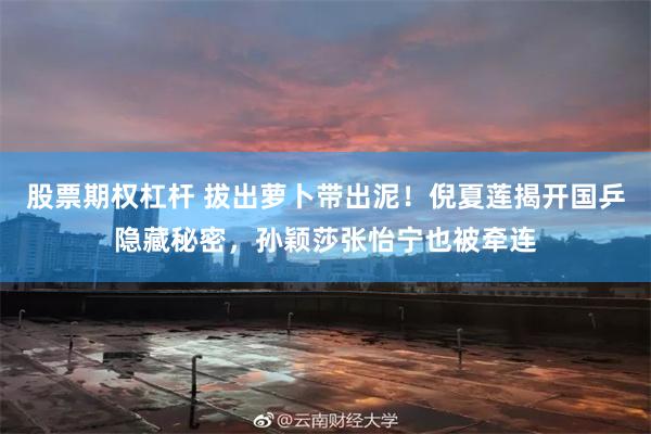 股票期权杠杆 拔出萝卜带出泥！倪夏莲揭开国乒隐藏秘密，孙颖莎张怡宁也被牵连