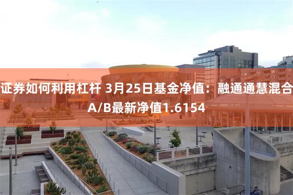 证券如何利用杠杆 3月25日基金净值：融通通慧混合A/B最新净值1.6154
