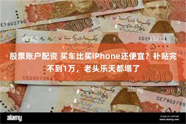 股票账户配资 买车比买iPhone还便宜？补贴完不到1万，老头乐天都塌了