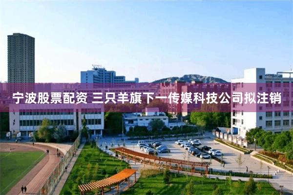 宁波股票配资 三只羊旗下一传媒科技公司拟注销