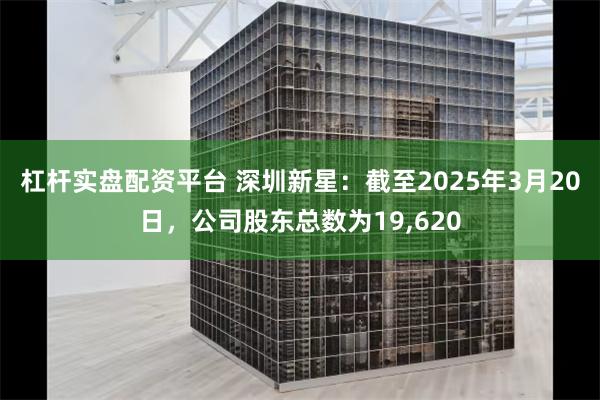 杠杆实盘配资平台 深圳新星：截至2025年3月20日，公司股东总数为19,620