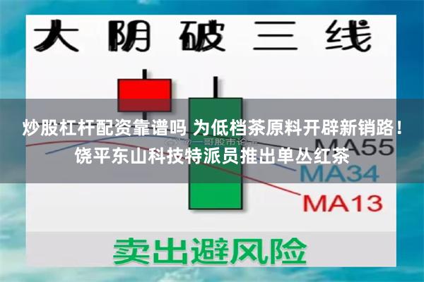 炒股杠杆配资靠谱吗 为低档茶原料开辟新销路！饶平东山科技特派员推出单丛红茶