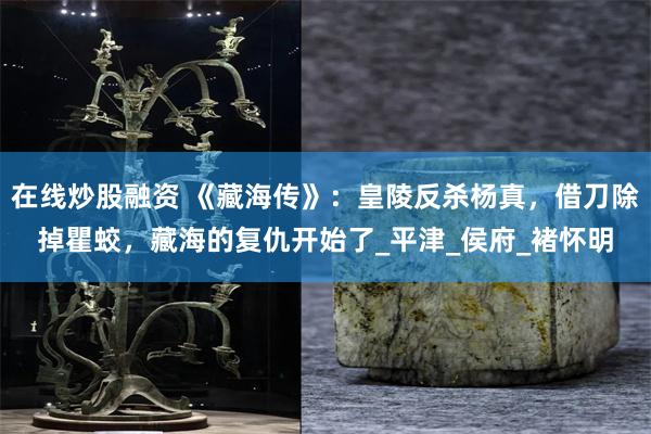 在线炒股融资 《藏海传》：皇陵反杀杨真，借刀除掉瞿蛟，藏海的复仇开始了_平津_侯府_褚怀明