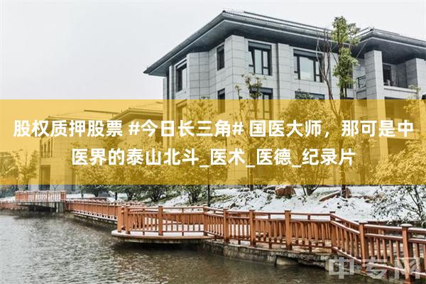 股权质押股票 #今日长三角# 国医大师，那可是中医界的泰山北斗_医术_医德_纪录片
