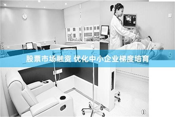 股票市场融资 优化中小企业梯度培育
