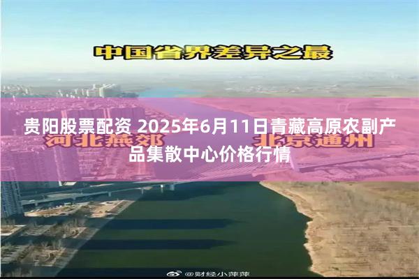 贵阳股票配资 2025年6月11日青藏高原农副产品集散中心价格行情