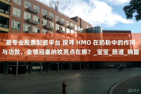 最专业股票配资平台 探寻 HMO 在奶粉中的作用与功效，金领冠塞纳牧亮点在哪？_宝宝_肠道_病菌