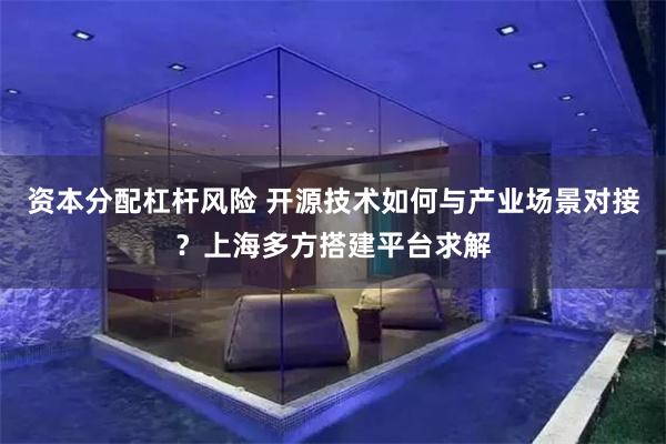 资本分配杠杆风险 开源技术如何与产业场景对接？上海多方搭建平台求解
