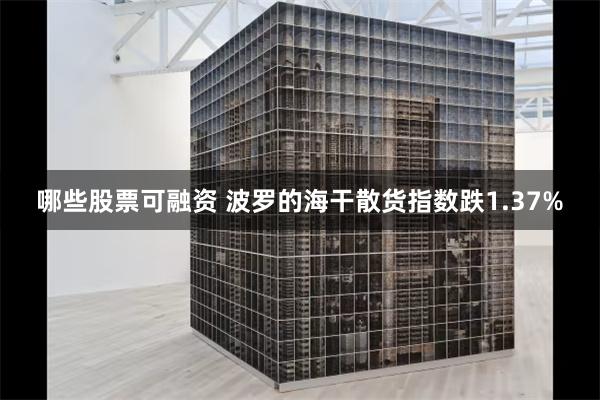 哪些股票可融资 波罗的海干散货指数跌1.37%