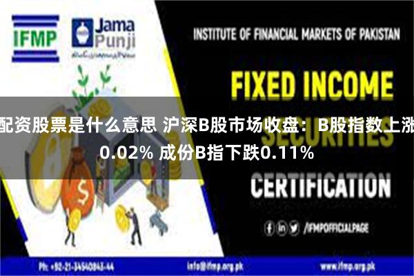 配资股票是什么意思 沪深B股市场收盘：B股指数上涨0.02% 成份B指下跌0.11%