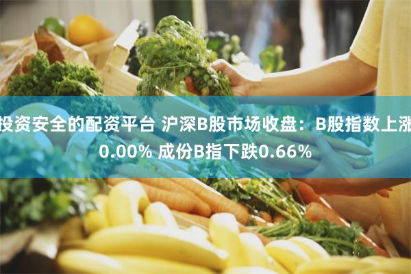 投资安全的配资平台 沪深B股市场收盘：B股指数上涨0.00% 成份B指下跌0.66%